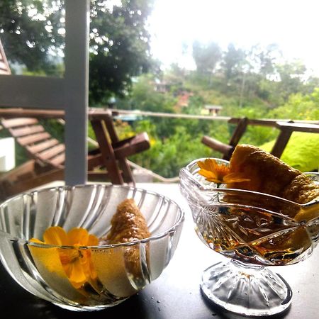 Ella Delightful Surround Homestay エクステリア 写真