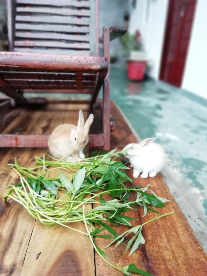 Ella Delightful Surround Homestay エクステリア 写真