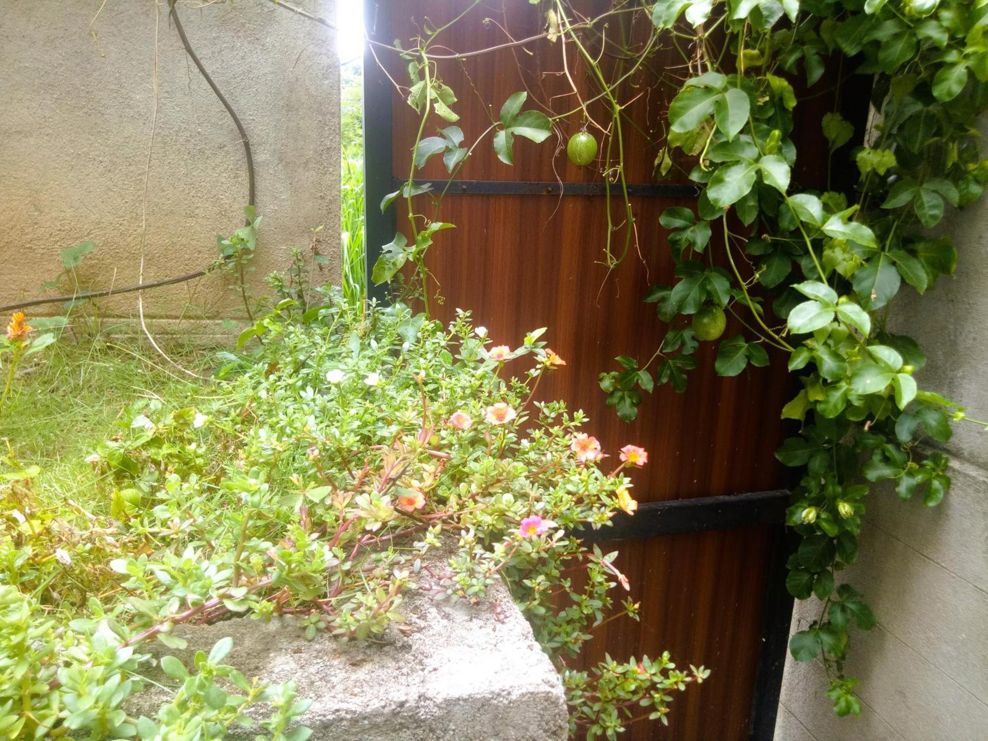 Ella Delightful Surround Homestay エクステリア 写真
